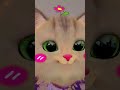 Cute Cat Funny Moment 😅😸#cat #catvideos #talkingtomversion #shortsfeed #meow #kitten #fluffycat #yt