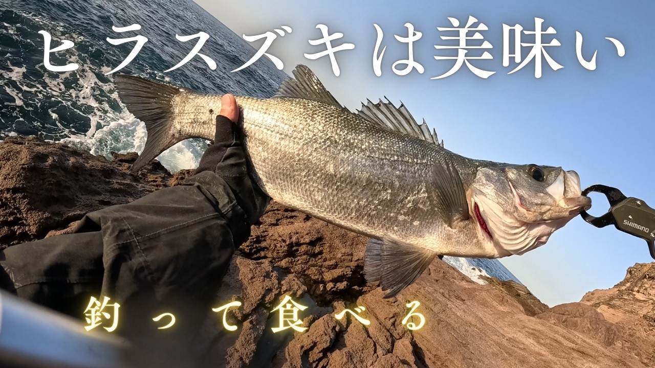 【 鹿児島 】週末は磯へ！サンデーアングラーの磯ヒラスズキゲーム【 料理 】