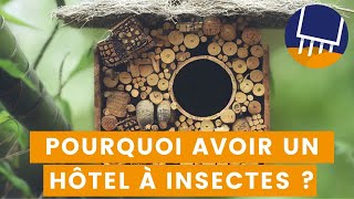 Pourquoi avoir des hôtels à insectes dans votre jardin potager