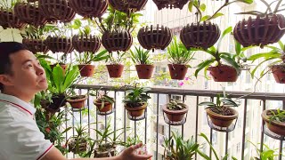 Giới thiệu cách lắp đặt bộ tưới cây tự động cho các vườn cây nhỏ và chung cư