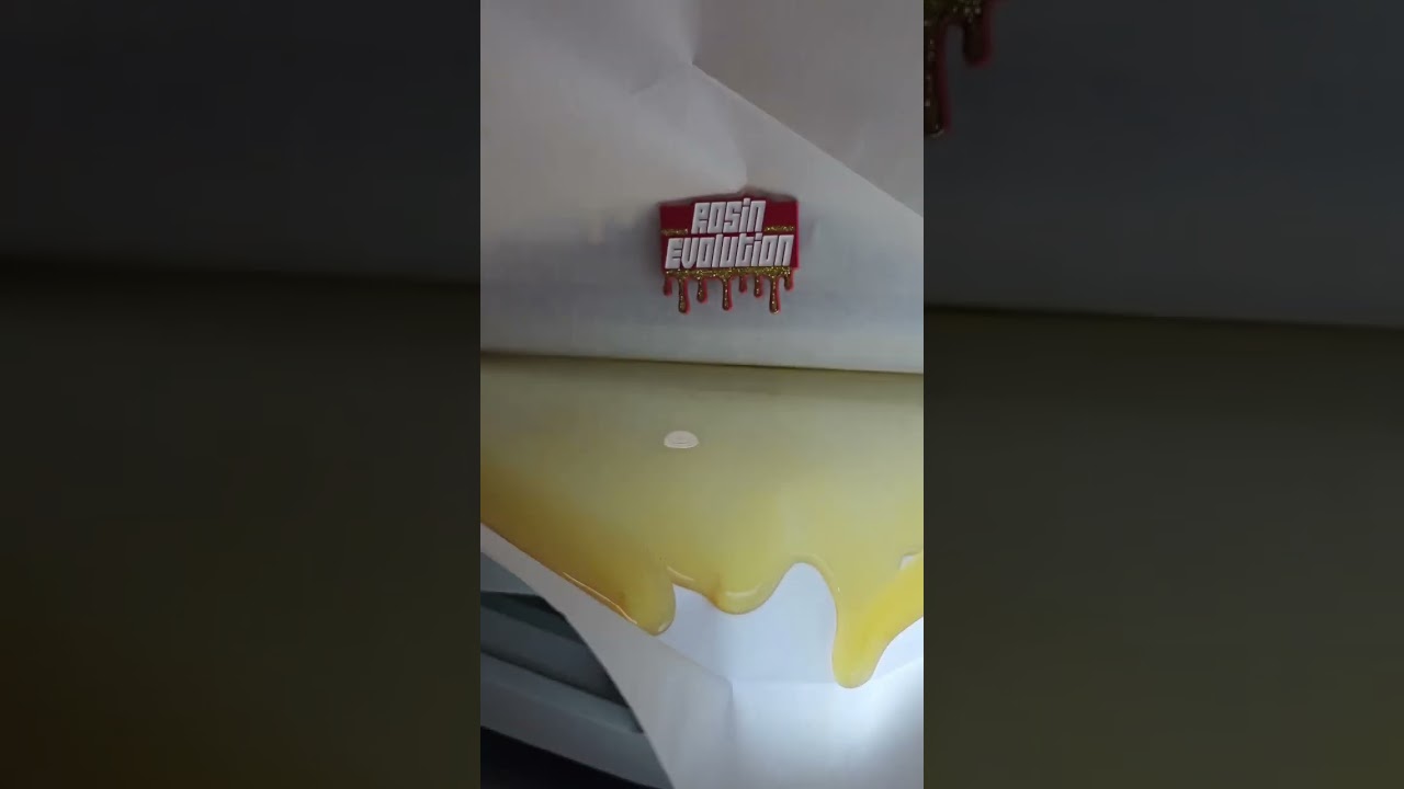 #rosin
