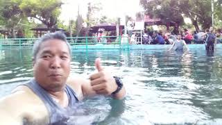Basic  water rescue