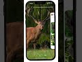 ANIMAL QUIZZES AT HICH