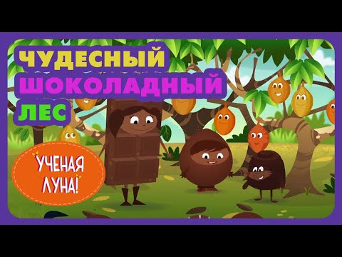 УЧЕНАЯ ЛУНА! (45 серия) (2015) мультсериал