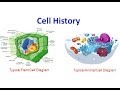 Cell Biology Concepts and Theories