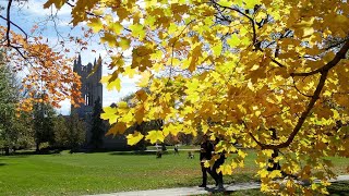 Let’s Tag Along With Carleton College: Why Someone Would Choose Carleton Over The Rest!