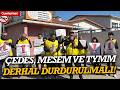 Eğitim-Sen'den 'Şiddetsiz Okul' deklarasyonu: ÇEDES, MESEM ve TYMM derhal durdurulmalı!
