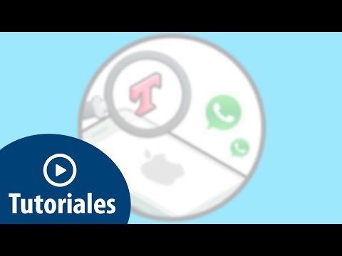 Como buscar dentro de un chat WhatsApp iPhone