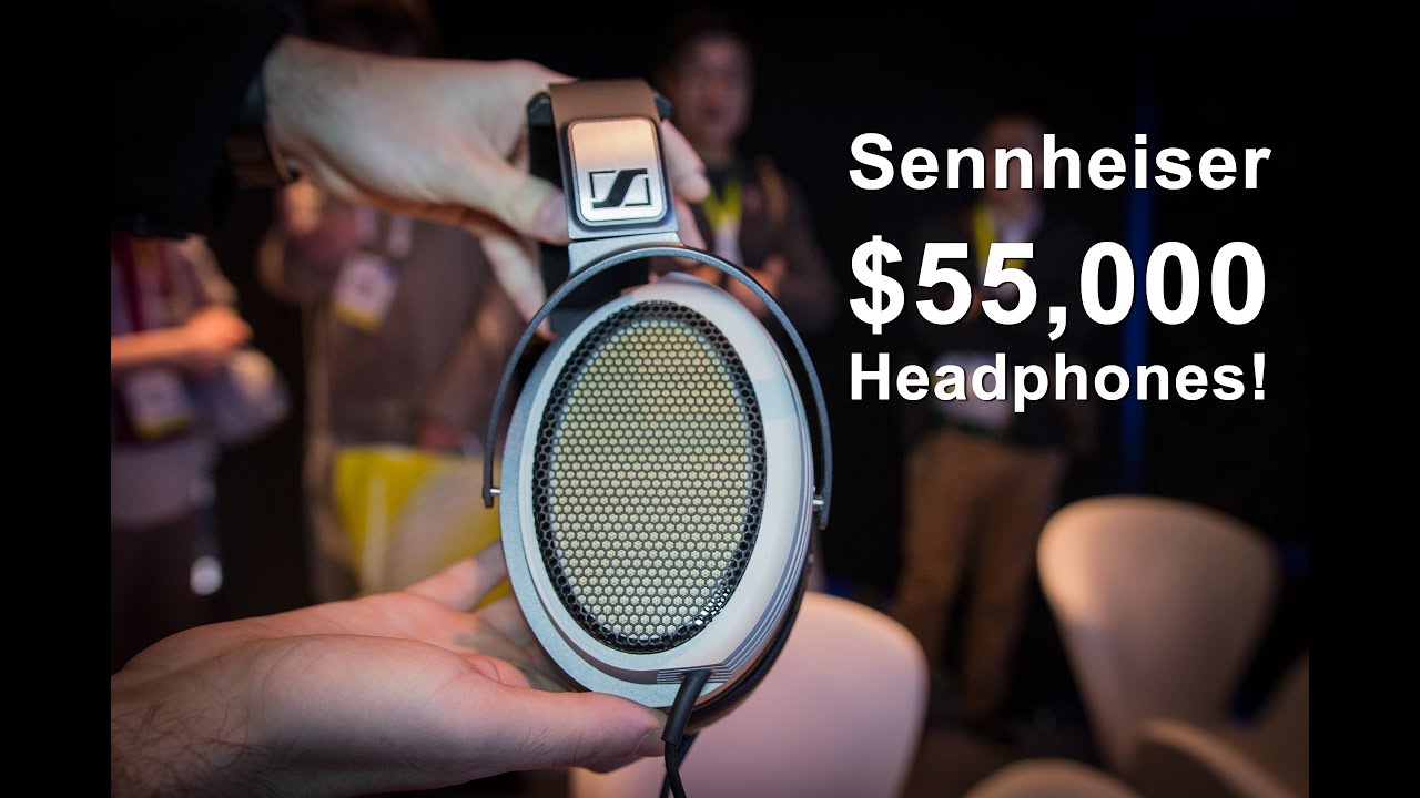 Sennheiser $55,000 Headphones, HD800s 