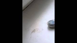 Хлюпает пол после протечки(, 2013-06-24T09:52:08.000Z)