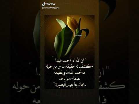 ان الله اذا احب عبدا كشف له حقيقة الناس من حوله الحمدلله يارب Chorts ان الله اذا احب عبدا كشف له حقيقة الناس من حوله الحمدلله يارب Chorts