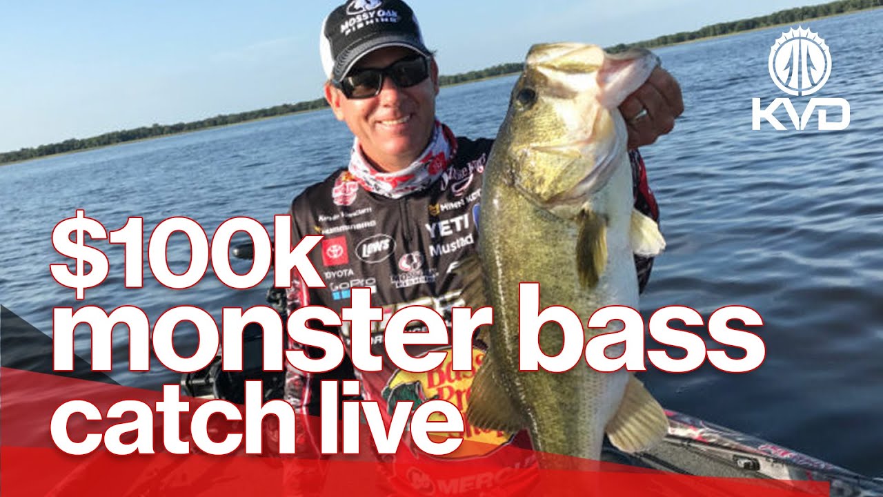 KVD's big bass win – Last pro tourney – LIVE highlight
