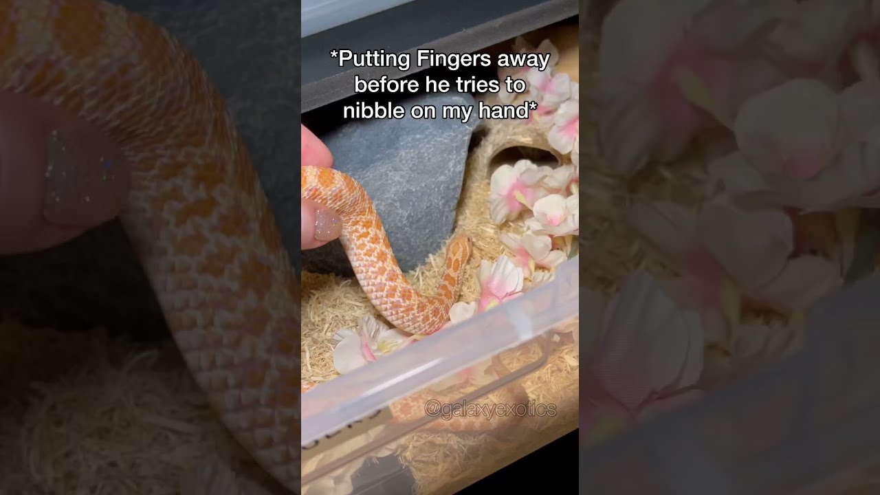 I’M COMING BACK FOR YOU BABY!