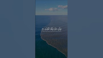 #راحة_نفسية #تلاوات #تلاوة_خاشعة #fyp #fypシ #quran #islamicvideo