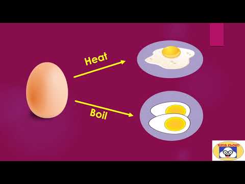 Video: Stuhnú vajcia pri zahrievaní?