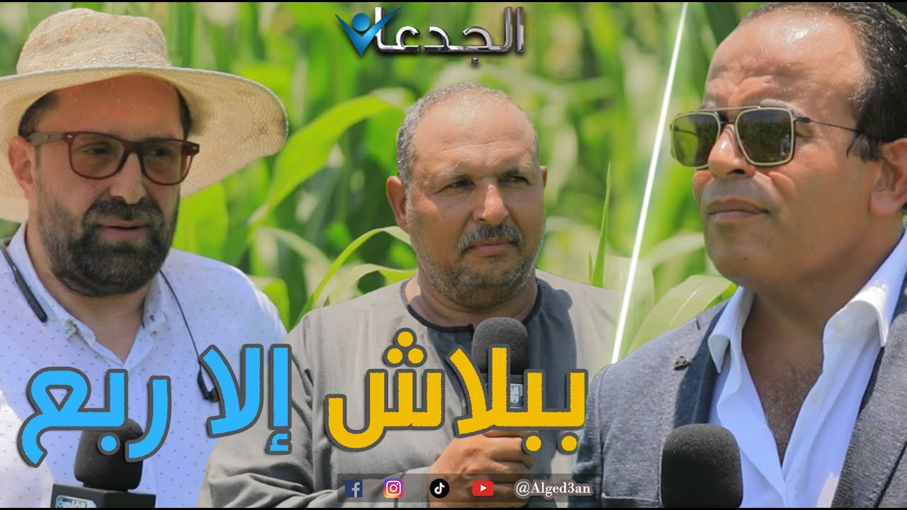 ببلاش إلا ربع .. هتأكل البقر والجاموس والأغنام في مشروعك اعلاف ٢٢٪؜ بروتين