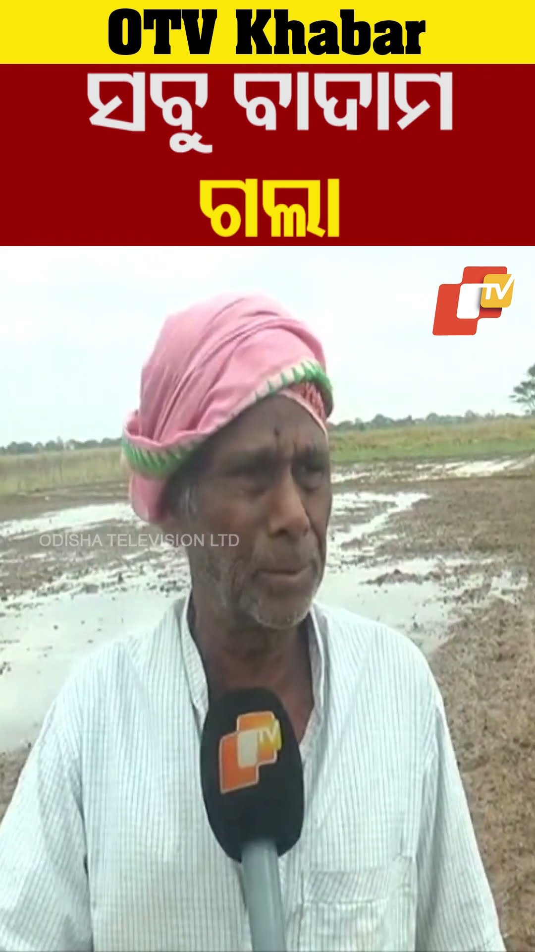 ସବୁ ବାଦାମ ଗଲା