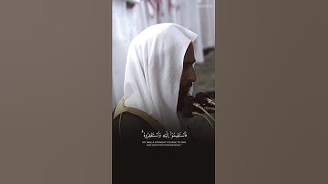 قل إنما أنا بشر مثلكم يوحى إلي أنما إلهكم إله واحدفاستقيموا إليه واستغفروه ..﴾ #تلاوة #أحمد_بن_طالب