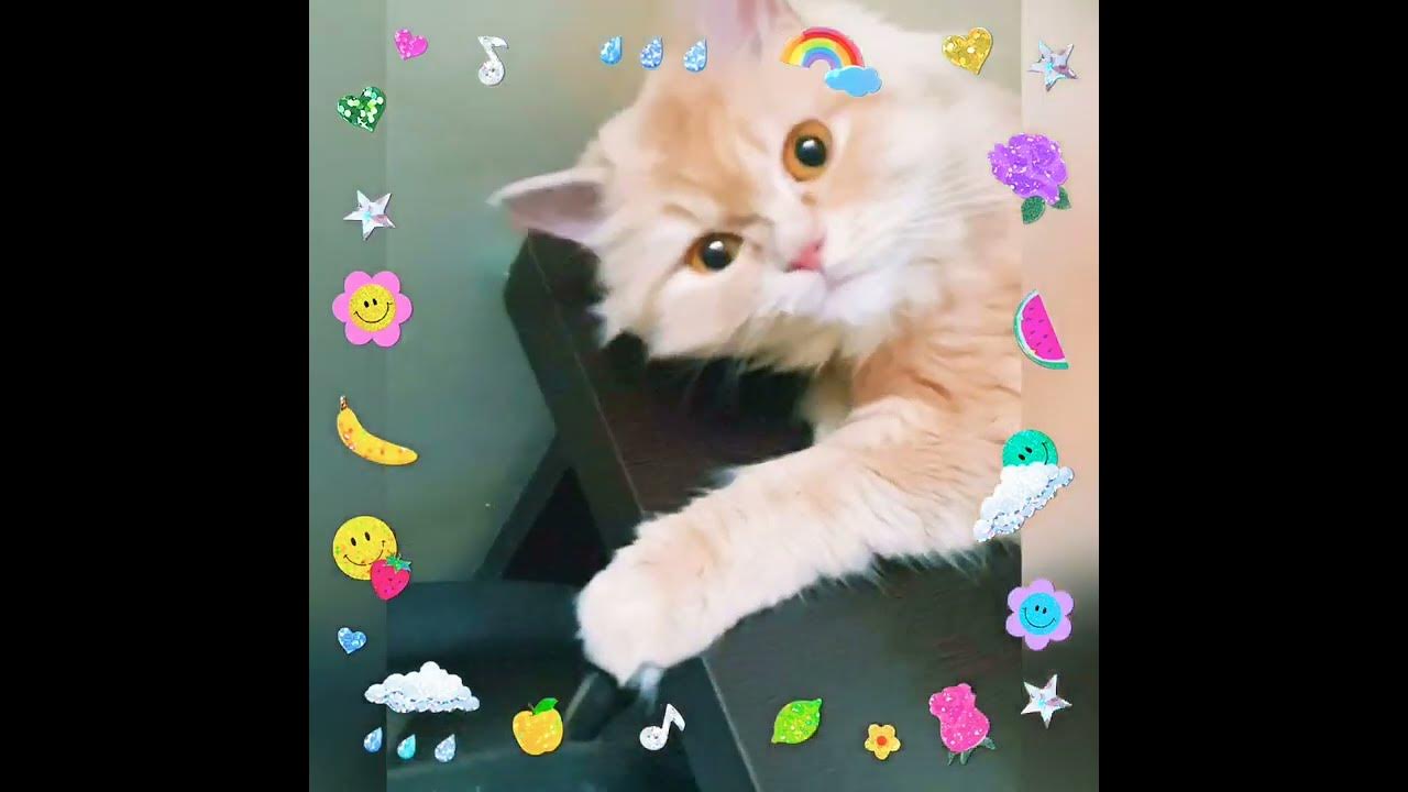 why Are You Disturbing Me YouTube why-are-you-disturbing-me-youtube