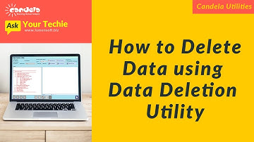Retail Software: How to Delete Data using Data Deletion Utility