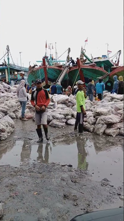 Aktivitas Di Pelabuhan Jongor Tegal Sari #tegalbahari#tegaljawatengah
