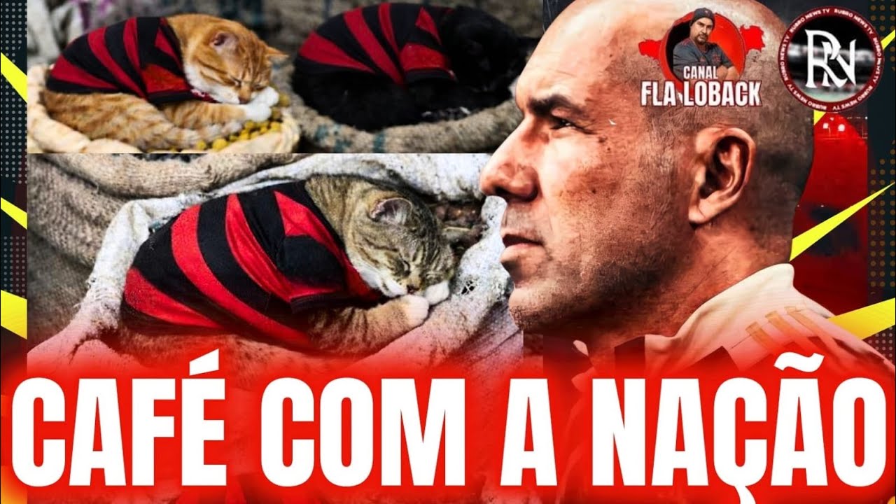 JARDIM DEVERÁ TER AS CHAVES DO NINHO!! SERÁ O FIM DOS GATOS DE ARMAZÉM????