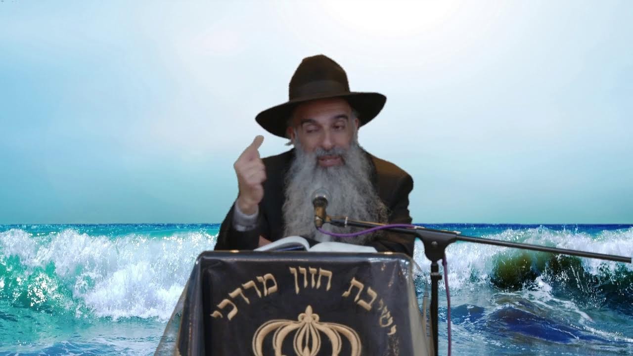 הרב מאיר דוד שמואלי - פרשת בשלח