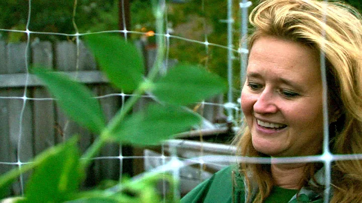 Helen Cameron of Uncommon Ground is profiled by Da...