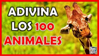 Adivina los '100 ANIMALES' Test/Trivial/Quiz