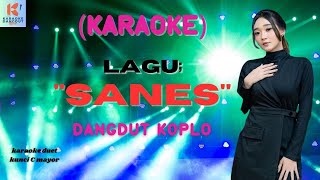 Sanes Karaoke | Karaoke Dangdut Official | Cover PA 600