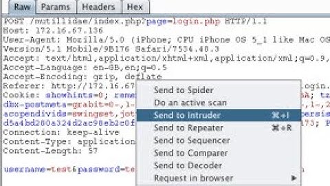2.2 Perform Parameter Tampering using Burp Suite.