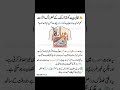 Drinking Tea on an Empty Stomach? A Harmful Daily Habit