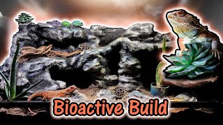 Can I DIY a Dream Bearded Dragon Paradise in 30 days