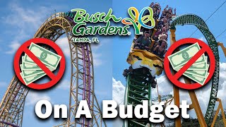 How to Plan a Budget Friendly Busch Gardens Tampa Vacation