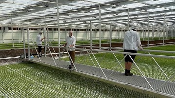 Service wagon for moving gutter systems