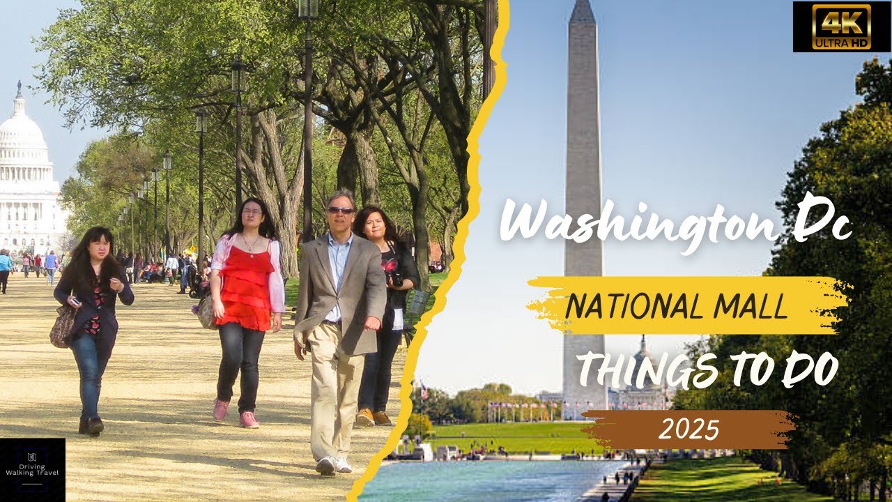 Washington DC's BEST National Mall Activities 2025!