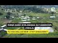 Rvolution verte la ferme dobala transforme lagriculture au cameroun