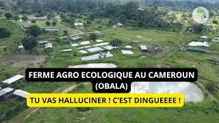 Révolution Verte: La Ferme d'Obala Transforme l'Agriculture au Cameroun!