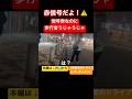 無法地帯！赤信号なのに横断する歩行者達😱