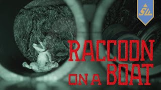 Lazy river from hell! Raccoon on a Boat Review