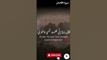 اكتب شيء تؤجر عليه 🤍 🤲🏻#quran #اسلام #الراحة_النفسية #سورة_القصص #قرآن