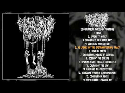Basic Torture Procedure — Basic Torture Procedure - Domination Through Torture FULL ALBUM (2020 - Goregrind)