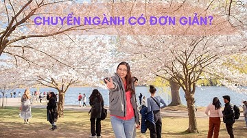 Bạn có phù hợp chuyển sang ngành Business Analyst hay không?