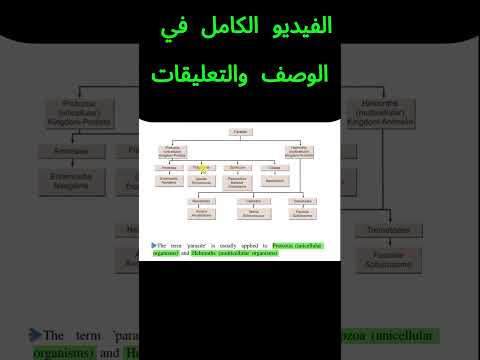 شنو انواع الطفيليات اقسام الطفيليات شرح سهل وبسيط Parasite Shortvideo Education طفيليات صحة