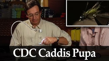 Marc Petitjean: CDC Caddis Pupa