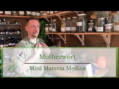 Video: Motherwort Herb - Instruktioner Til Brug, Anmeldelser, Pris, Analoger