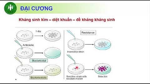 TỰ HỌC - NGUYÊN TẮC SỬ DỤNG KHÁNG SINH