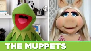 The Muppets Find Out Which Muppet They Really Are