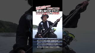 『ソルティセンセーションNEO』に新たな3アイテムが追加！ #エバーグリーン #ソルティセンセーションNEO #ライトゲーム