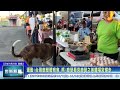 世新新聞 運動i台灣鹿草體育會 熊i鹿草看見鹿草之美鐘福宮健走
